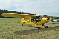 Piper PA-18-95 Super Cub, , D-EKBO, c/n 18-3453, Karsten Palt, 2010