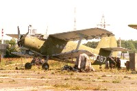 Antonow / Antonov An-2, Kaliningradskii Aviatsionno-Sportivnyi Klub , RF-00387, c/n , Hartmut Ehlers, 2008