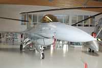 General Dynamics / Lockheed Martin F-16AM, Royal Danish Air Force, E-174, c/n 6F-1, Karsten Palt, 2011